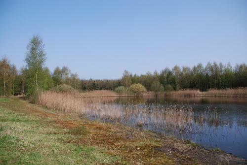Apartamento Vledderstee