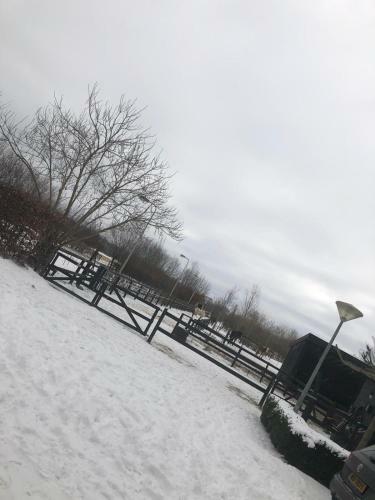 Chalet Het Wollinghuisje