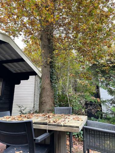 Bos Chalet Vledder Fredriksoord