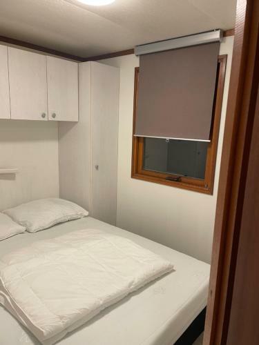 Bos Chalet Vledder Fredriksoord