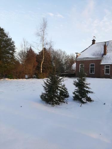 De Wollinghoeve