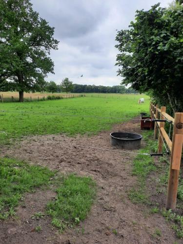 De Wollinghoeve