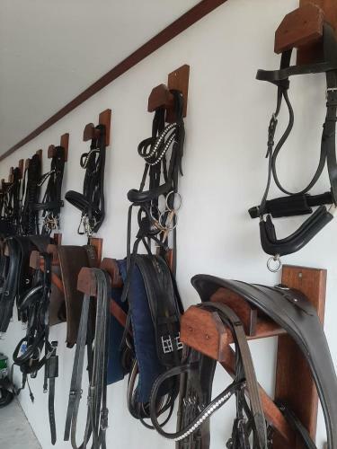 Apartamento 't Wolthoes