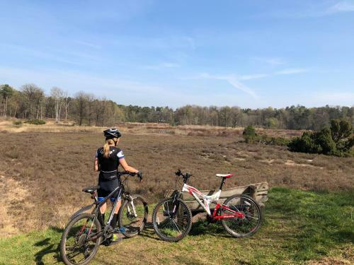 Apartamento Wildenborcherhof