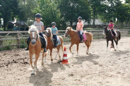 Country Camp Camping De Boshoek