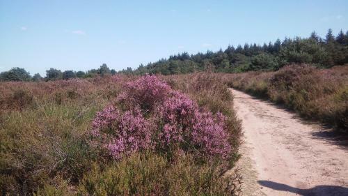 Poort Van De Veluwe