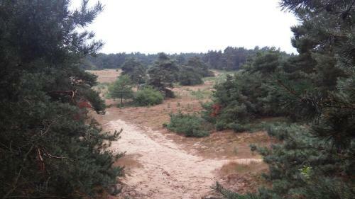 Poort Van De Veluwe