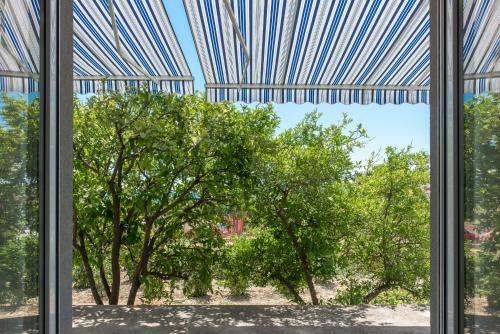 Vacation Home Zdravka