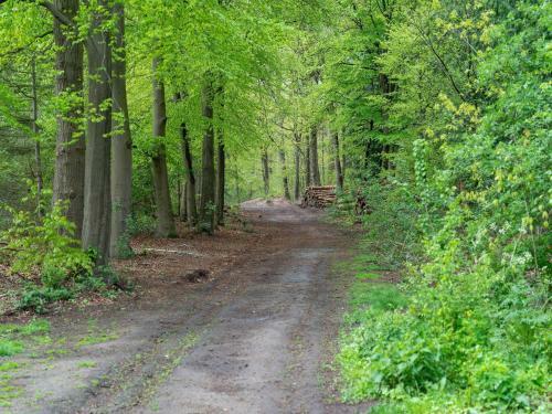 Attractive Holiday Home In Voorthuizen With Wellness