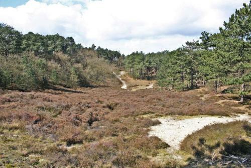 Hotelhuisje Warmenhuizen #e