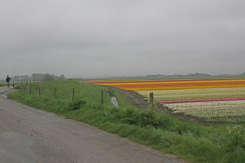 Hotelhuisje Warmenhuizen #c