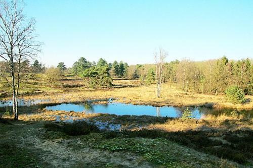 Anderegg's Camping
