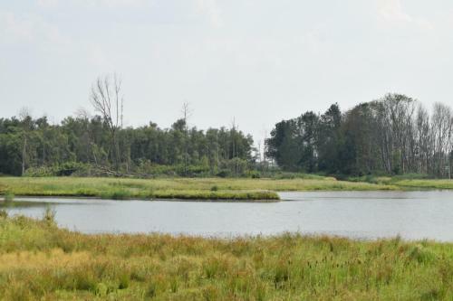 B&B 't Steurgat