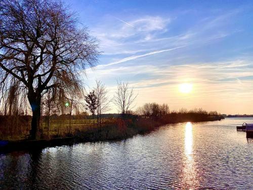 Ferienpark Vislust Chalet Direkt An Der Gracht Mit Bootsanlegesteiger