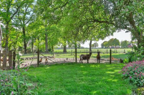 Bed & Breakfast De Mussenhof