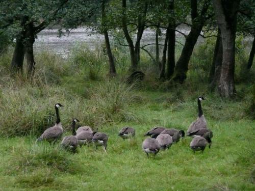 Bed & Breakfast De Wiede Blik