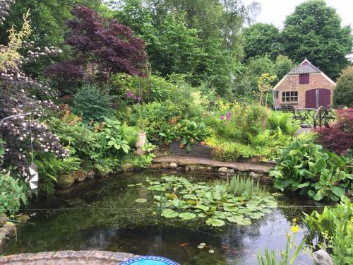 Bed & Breakfast De Wiede Blik