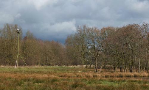 Bed & Breakfast De Wiede Blik
