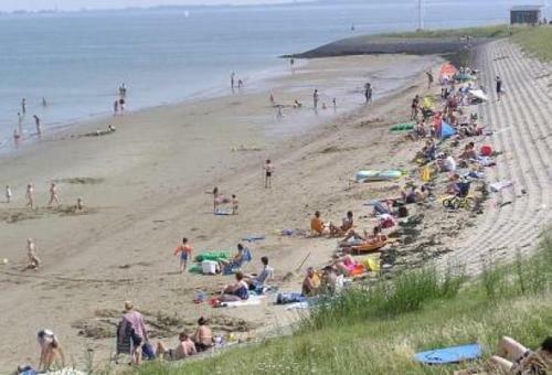 Oesterbaai 35