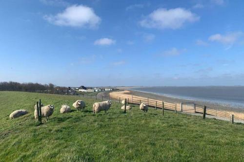 Huis Direct Ann de Waddenzee 6 Meerblick 20 Meter Blick Aufs Wattenmeer