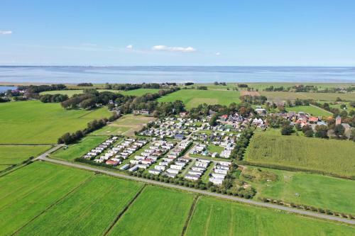 Glamping Lodge Waddenzee