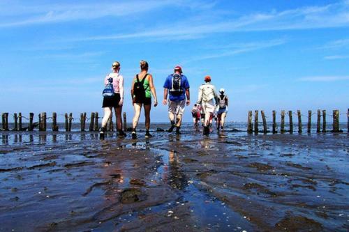 Wadhuis Aan Waddenzee Inclusief 2 E-bikes