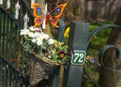 Butterfly Cottage