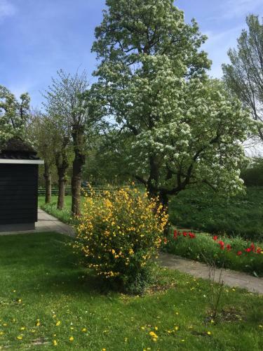 Apartamento Lekerweg 32