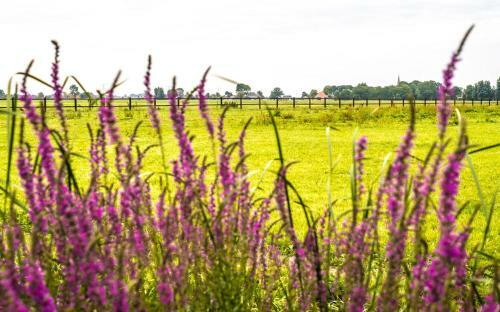 Bed & Breakfast "bij Lucie"