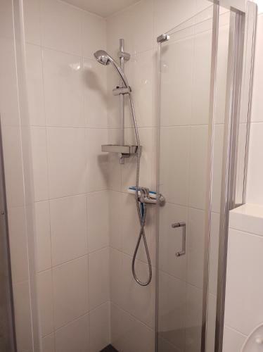 In De Zwaluw