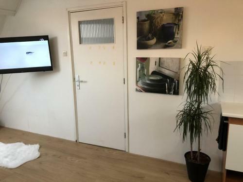 Apartamento Puravida