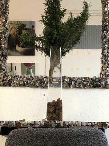Apartamento Puravida