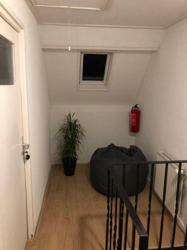 Apartamento Puravida