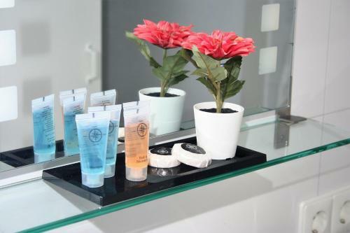 B&B En Vakantiewoningen 't Wienhoes