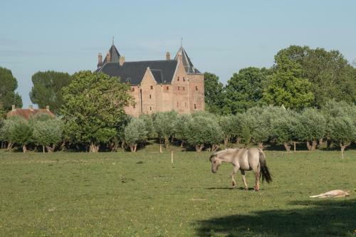 Rijk(s)zicht
