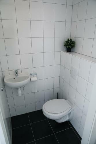 Wolphaartsdijk Huis Met Een Uitzicht