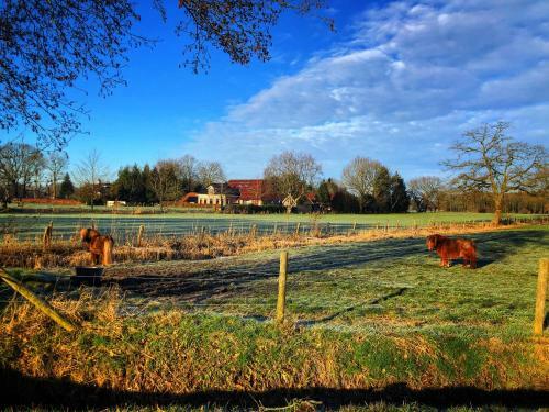 B&B Zandhuizen