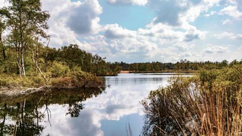 Zeegser Duinen