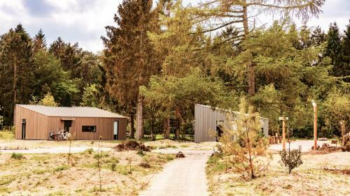 Zeegser Duinen