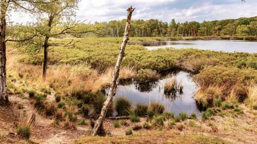 Zeegser Duinen