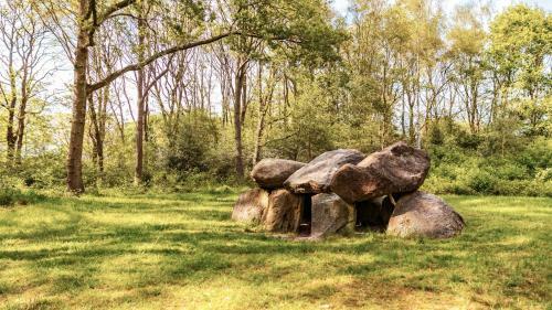 Zeegser Duinen