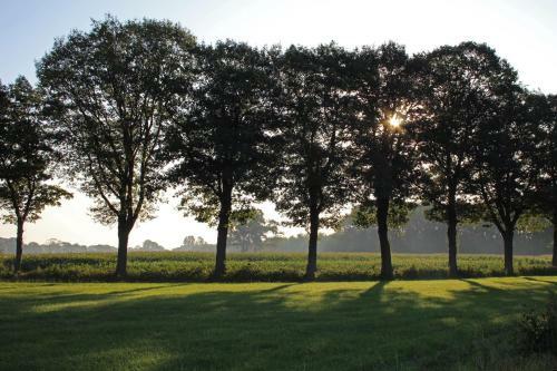 Bed & Breakfast De Lindehoek