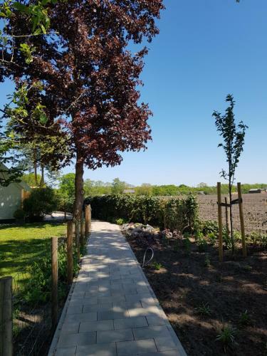 Bed & Breakfast De Lindehoek