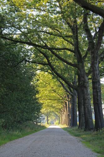 Bed & Breakfast De Lindehoek