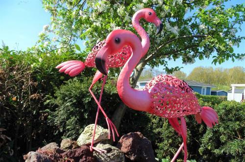 Naturisten Wellness B&B De Buizerd