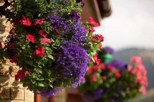 Hostal Glede Knowe Guest House