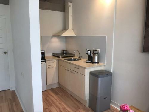 Aparthotel In De Gele Hoed