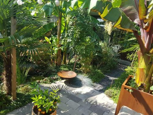 Jungle Stay In A Hidden Paradise