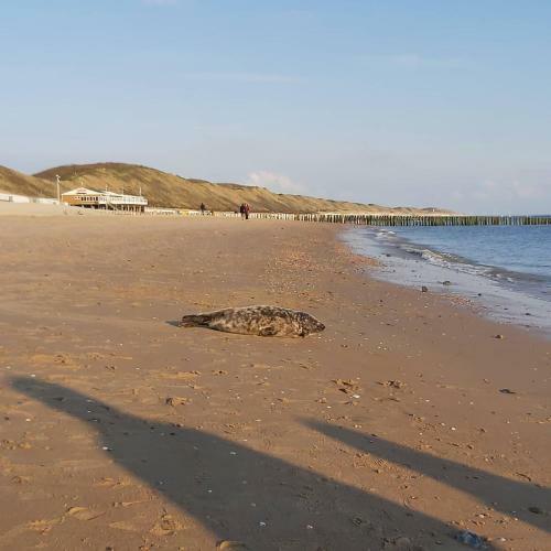 Dulce Tierra - Vakantiewoning