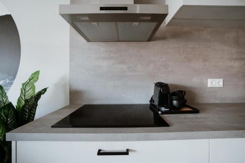 Apartamento Duinstraatje 15